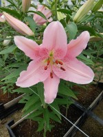 [5625 VH55 No02.JPG]